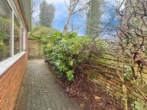 Side garden- click for photo gallery